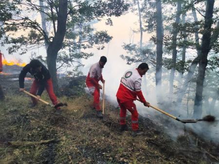 جنگل های شمال،اخبار اجتماعی،خبرهای اجتماعی