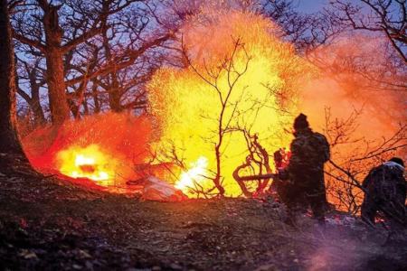 آتش سوزی جنگل،اخبار اجتماعی،خبرهای اجتماعی