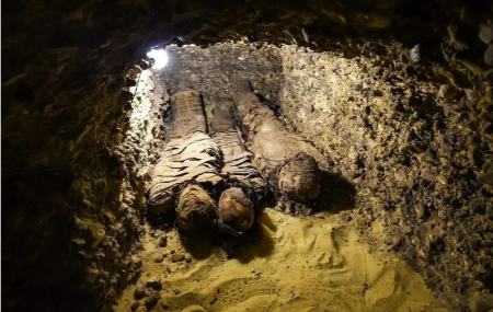 مومیایی،اخبار گوناگون،خبرهای گوناگون