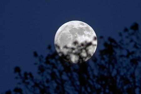 ماه،اخبار علمی،خبرهای علمی