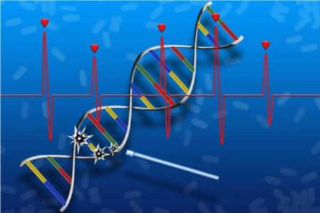داروی ترمیم DNA،اخبار پزشکی،خبرهای پزشکی داروی ترمیم DNA،اخبار پزشکی،خبرهای پزشکی