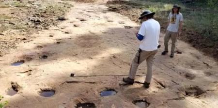 دایناسور،اخبار گوناگون،خبرهای گوناگون دایناسور،اخبار گوناگون،خبرهای گوناگون