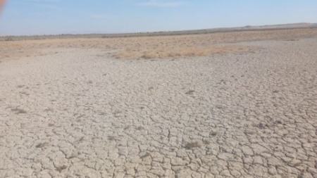 تالاب بند علیخان،اخبار اجتماعی،خبرهای اجتماعی تالاب بند علیخان،اخبار اجتماعی،خبرهای اجتماعی