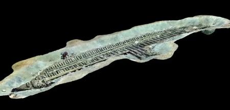 کشتی تفریحی مصر،اخبار گوناگون،خبرهای گوناگون