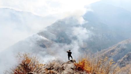 جنگل الیت،اخبار اجتماعی،خبرهای اجتماعی جنگل الیت،اخبار اجتماعی،خبرهای اجتماعی