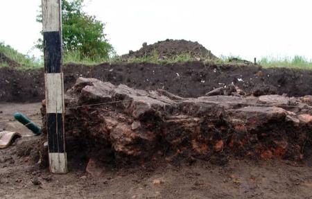 گاو کوچک باستانی،اخبار گوناگون،خبرهای گوناگون گاو کوچک باستانی،اخبار گوناگون،خبرهای گوناگون