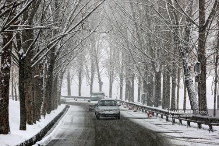 برف و باران در ایران،اخبار اجتماعی،خبرهای اجتماعی برف و باران در ایران،اخبار اجتماعی،خبرهای اجتماعی