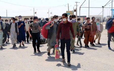 افغانی ها در ایران،اخبار اجتماعی،خبرهای اجتماعی