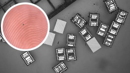 ربات،اخبار علمی،خبرهای علمی