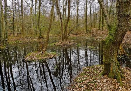 سکه‌ باستانی،اخبار گوناگون،خبرهای گوناگون