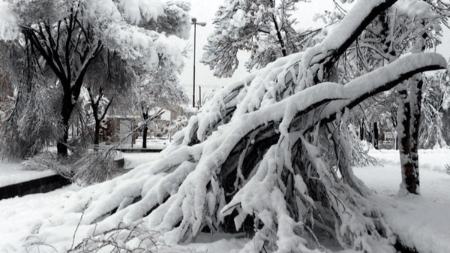 برف در اصفهان،اخبار اجتماعی،خبرهای اجتماعی