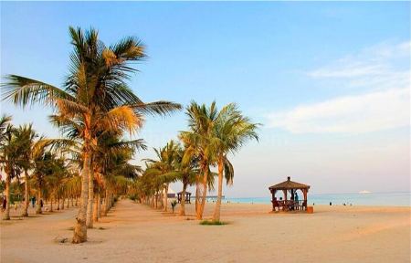 بهترین فصل ها برای سفر برای سفر به جنوب ایران بهترین فصل ها برای سفر برای سفر به جنوب ایران