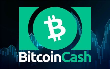 بیت کوین کش بیت کوین کش