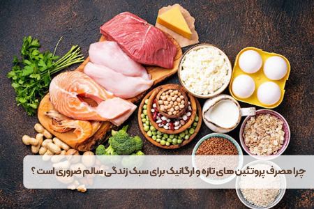 چرا مصرف پروتئین ‌های تازه و ارگانیک برای سبک زندگی سالم ضروری است ؟