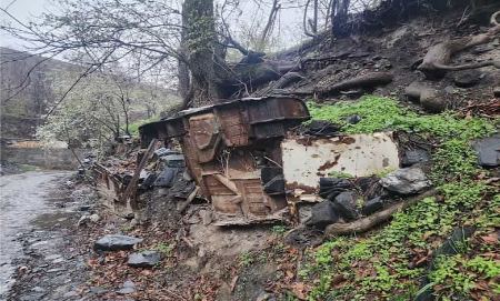 جنگل جیغ طرقبه جنگل جیغ طرقبه