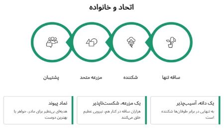 نماد اتحاد و خانواده نماد اتحاد و خانواده