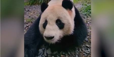 باغ‌ وحش برلین،اخبار گوناگون،خبرهای گوناگون