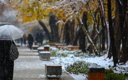 برف و باران در ایران،اخبار اجتماعی،خبرهای اجتماعی برف و باران در ایران،اخبار اجتماعی،خبرهای اجتماعی