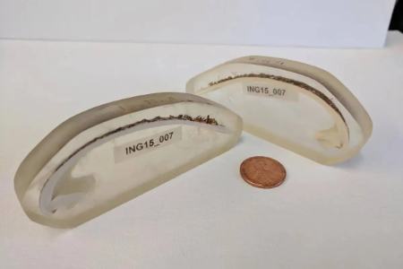 قدیمی‌ترین جانور منفرد،اخبار گوناگون،خبرهای گوناگون