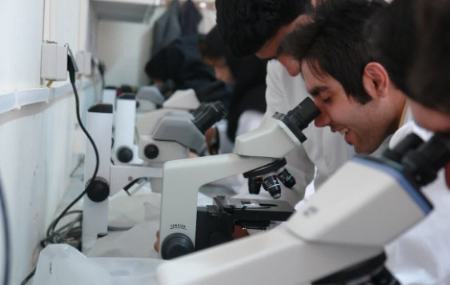 نخبگان،اخبار دانشگاه،خبرهای دانشگاه