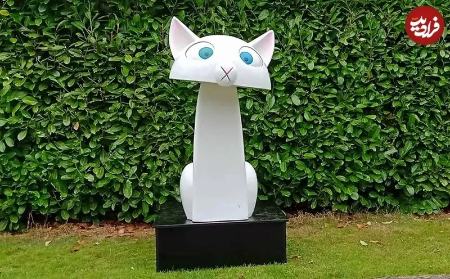 گربه،اخبار گوناگون،خبرهای گوناگون