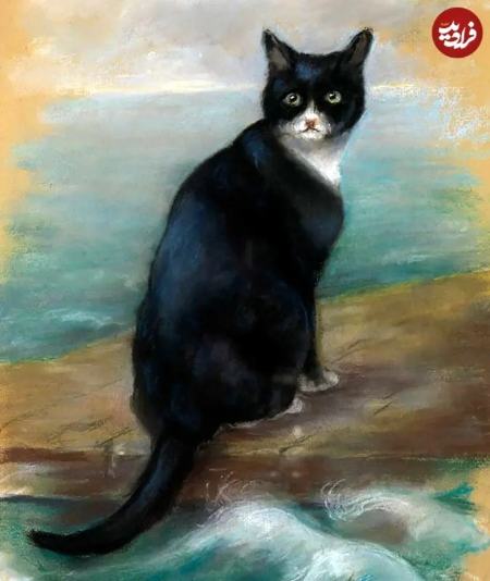 گربه،اخبار گوناگون،خبرهای گوناگون