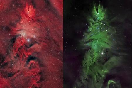 درخشش درخت کریسمس در دل فضا،اخبار علمی،خبرهای علمی