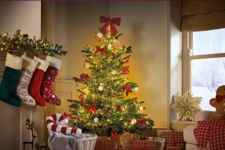 درخت کریسمس،اخبار گوناگون،خبرهای گوناگون