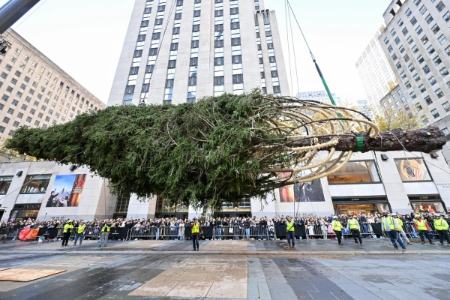 درخت کریسمس،اخبار گوناگون،خبرهای گوناگون