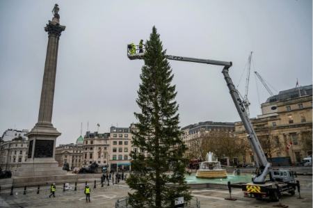 درخت کریسمس،اخبار گوناگون،خبرهای گوناگون