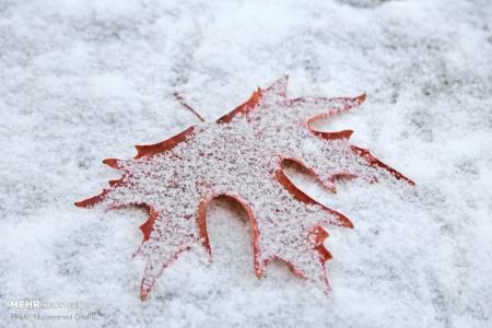 برف و باران در ایران،اخبار اجتماعی،خبرهای اجتماعی برف و باران در ایران،اخبار اجتماعی،خبرهای اجتماعی