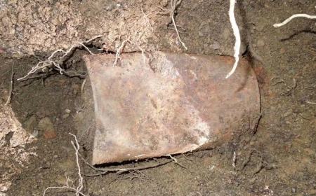 گنج سکه طلا،اخبار گوناگون،خبرهای گوناگون