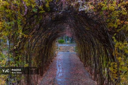 عکس خبری،هوای بارانی اصفهان