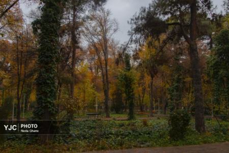 عکس خبری،هوای بارانی اصفهان