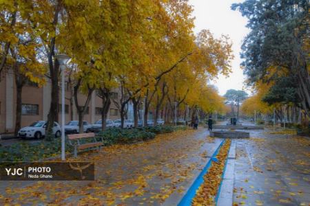 عکس خبری،هوای بارانی اصفهان