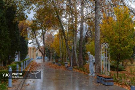 جوانان مجرد،اخبار اجتماعی،خبرهای اجتماعی جوانان مجرد،اخبار اجتماعی،خبرهای اجتماعی