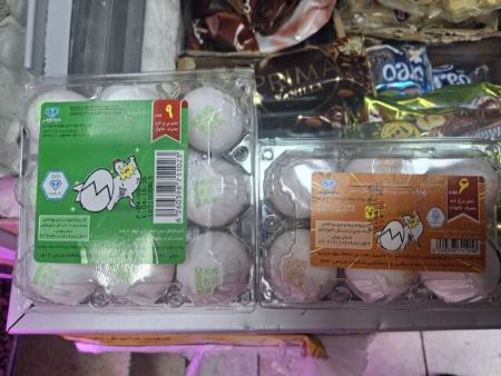 تخممرغ،اخبار اقتصادی،خبرهای اقتصادی تخممرغ،اخبار اقتصادی،خبرهای اقتصادی