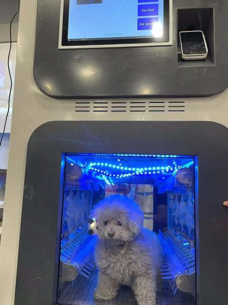 عجیب‌ترین فناوری‌های سال ۲۰۲۵،اخبار علمی،خبرهای علمی