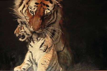 زیباترین نقاشی‌های حیات وحش در سال ۲۰۲۵،اخبار هنری،خبرهای هنری