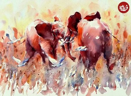 زیباترین نقاشی‌های حیات وحش در سال ۲۰۲۵،اخبار هنری،خبرهای هنری