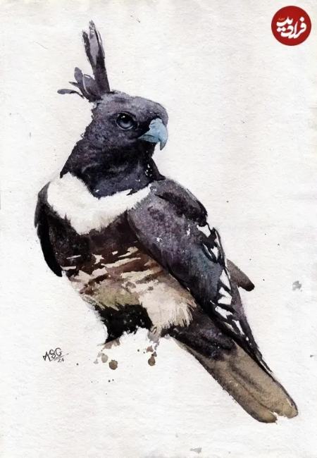 زیباترین نقاشی‌های حیات وحش در سال ۲۰۲۵،اخبار هنری،خبرهای هنری