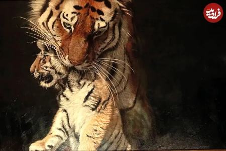 زیباترین نقاشی‌های حیات وحش در سال ۲۰۲۵،اخبار هنری،خبرهای هنری