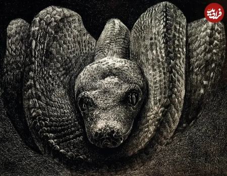 زیباترین نقاشی‌های حیات وحش در سال ۲۰۲۵،اخبار هنری،خبرهای هنری