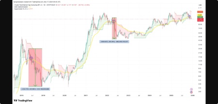 ارزش کل بازار رمزارزها (بدون بیت‌ کوین)