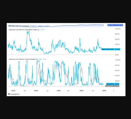 شاخص Altcoin Speculation – Capriole Investments
