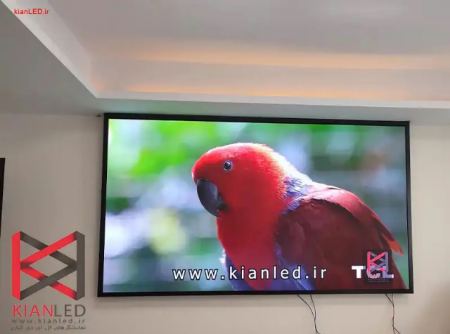 تلویزیون شهری