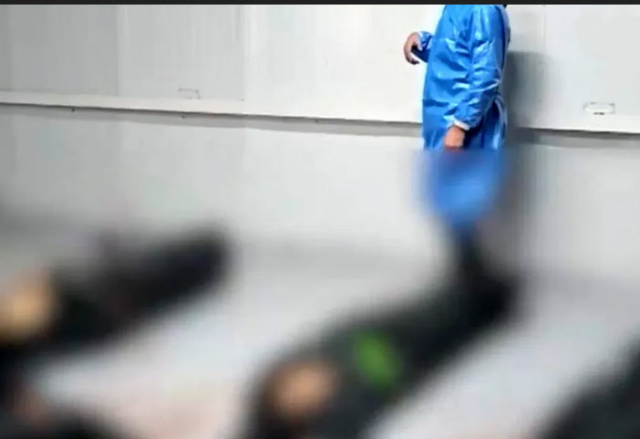اخبار،اخبار جدید،اخبار روز