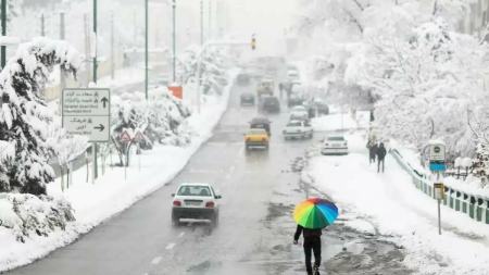 برف و باران در ایران،اخبار اجتماعی،خبرهای اجتماعی