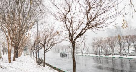برف،اخبار اجتماعی،خبرهای اجتماعی