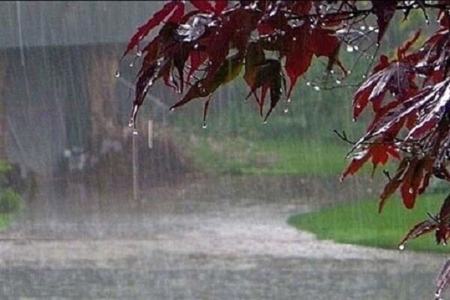 باران،اخبار اجتماعی،خبرهای اجتماعی